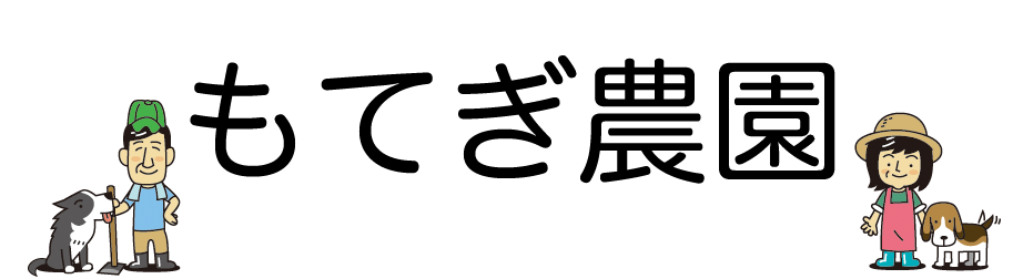 とうもろこし、ブロッコリーなどの有機野菜｜もてぎ農園